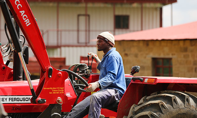 afrikan-farms-about
